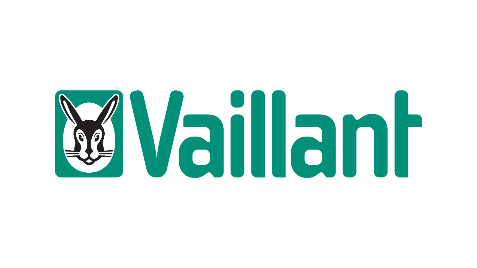 Vaillant Özel Servisi
